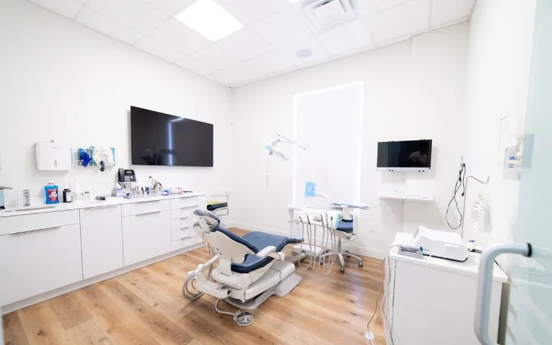 Periodontics (cleaning), composite fillings/bonding, and endodontics
